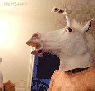 138102101055561.gif