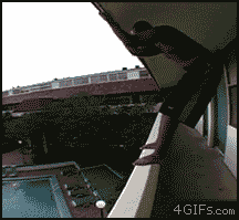 5.gif