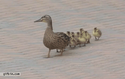 htqfunny_blogspot_com-119.gif