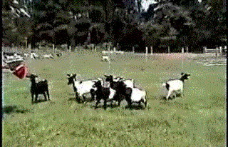 어우놀래라.gif