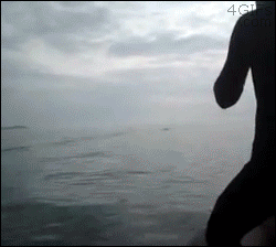 26353E3852A156BA05EDC3.gif