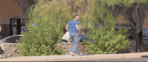 ef98026b0c7b3db9da08fca12ac63925.gif