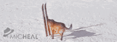 hC2D05F95.gif