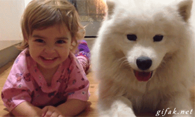 3333.gif
