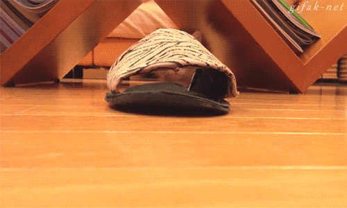 22.gif