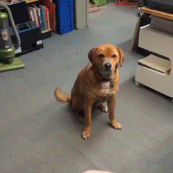 7de4a4d8cd5bf829b3d25f8d7cf01ca1_1404350341_9287.gif