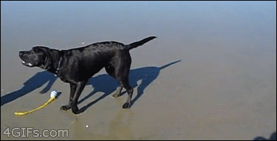7de4a4d8cd5bf829b3d25f8d7cf01ca1_1404350464_9764.gif