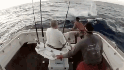 7de4a4d8cd5bf829b3d25f8d7cf01ca1_1404350558_9133.gif