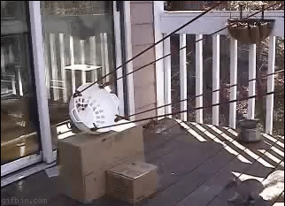 9a9b27ee6f4fbdbad6f018aaaff92912_1416419164_9408.gif