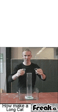 b7b6bf20cb8b5a0b24f8e4e16b2b279d_1415082824_3102.gif