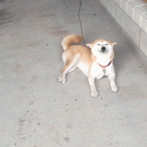 b7b6bf20cb8b5a0b24f8e4e16b2b279d_1415082912_0803.gif