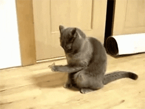 4546479acd6920bcf905e9125059bb8e_1419393418_1069.gif