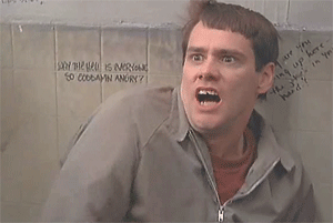 cd11752201c262e6b8d5a9cd5654d0d4_1425270985_0486.gif