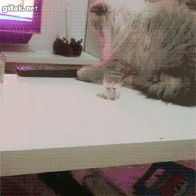8cf4ad2508e48518442878b7f630dcf0_1433317314_2248.gif