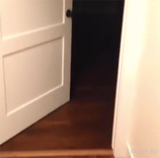 7caf5d9bb1e5f7f22ad3e6389b787978_1439891775_614.gif