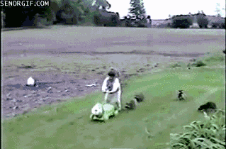 8cae2b69a29a3d259af5f1e0209dd83e_1454296179_2639.gif