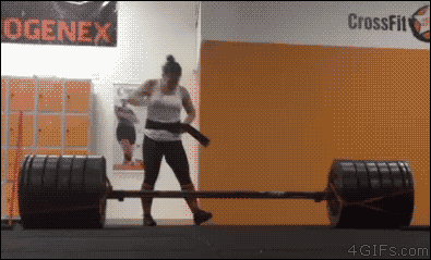 40407b104d9bda61f209c658f681e890_1458842351_5125.gif