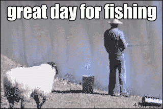 f36e8f7bf11c547a1f86b7c38b9fb7e4_1462680907_6062.gif