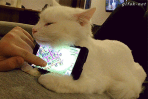 892fb21103f5a97ce6936a976e895b89_1487311891_5579.gif