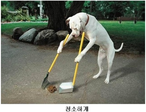 b3a24f623c8be9e21cf1a70817b964c2_1486525215_7655.png