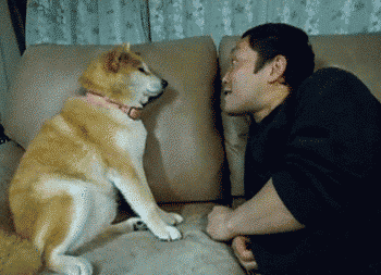 892fb21103f5a97ce6936a976e895b89_1490176648_7779.gif