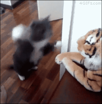 cfc613209dc5a8f256b8808d43aec1b8_1490022275_3811.gif