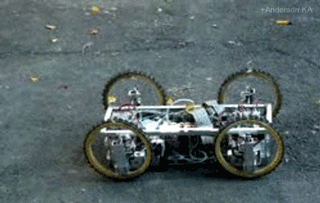 eda7cab1605b16fc48a9f6f99ad974f2_1493337935_2614.gif