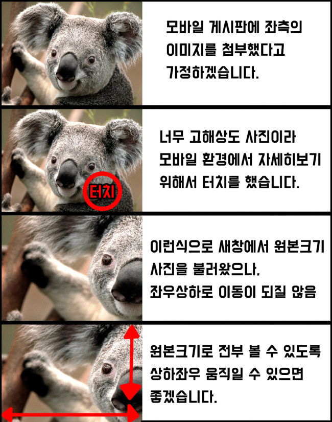 431c259d21a69665ff61f2714f29162a_1491834872_8815.png