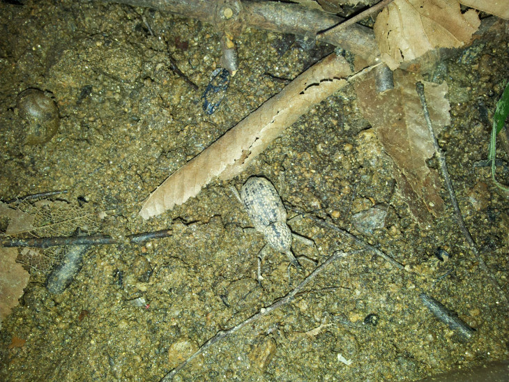 5bcdb46abd7b5769c873d0f1d34c33ca_1501119