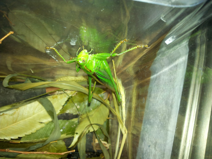 5bcdb46abd7b5769c873d0f1d34c33ca_1501119