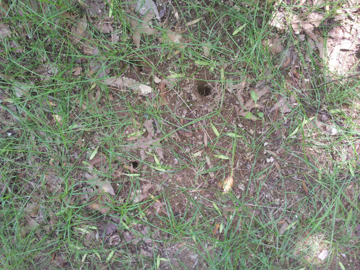 5bcdb46abd7b5769c873d0f1d34c33ca_1501120