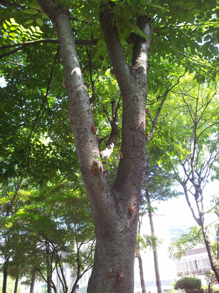 5bcdb46abd7b5769c873d0f1d34c33ca_1501120