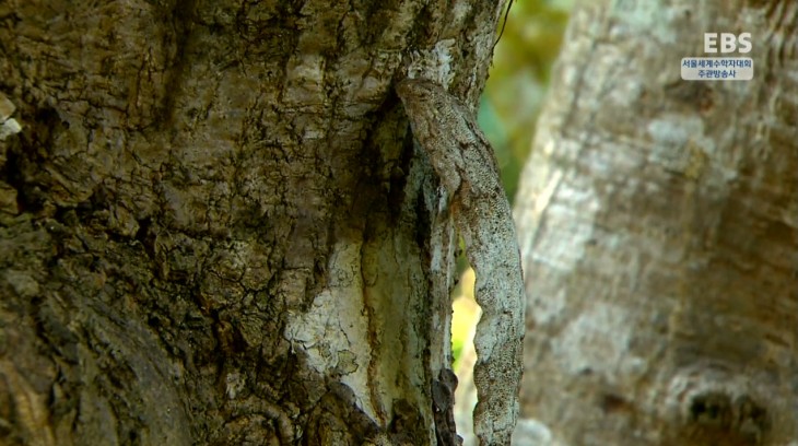 adf9fee9eb5ac611820fc18bf60e404c_1500874