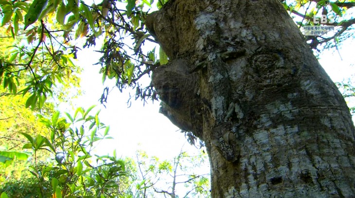 adf9fee9eb5ac611820fc18bf60e404c_1500874