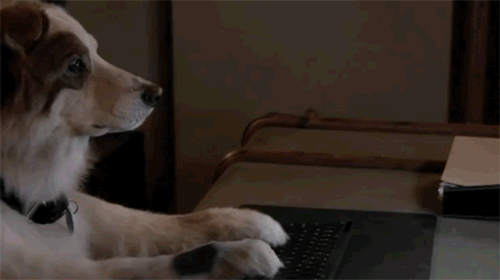 9990d59c998409d04c20e1b006befce1_1504191157_6685.gif