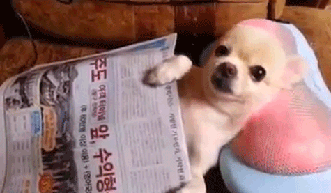 9990d59c998409d04c20e1b006befce1_1504191176_3327.gif