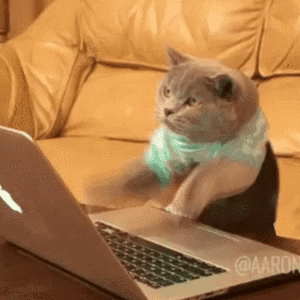 9990d59c998409d04c20e1b006befce1_1504191184_3679.gif