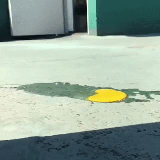 e5dae12b918a4b871ce61e55ca75897b_1504443449_6873.gif