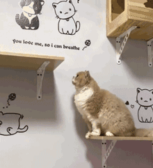 1930779051_1528944049.5617.gif