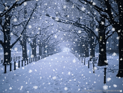 990836457_1545704086.4713.gif