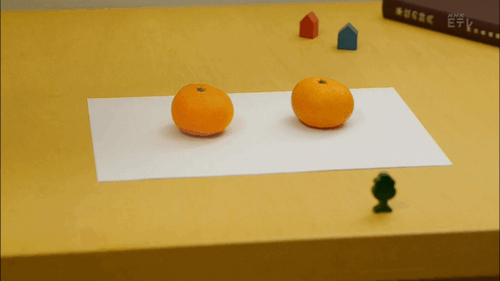 3554770848_1550709642.4259.gif