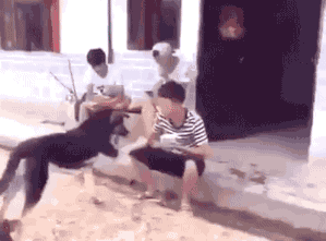 3696779805_1568641620.9786.gif