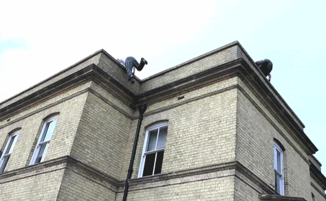 982268670_1569078564.0391.gif