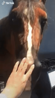 3543907947_1594161950.489.gif