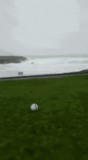 27119646_1614634246.9675.gif