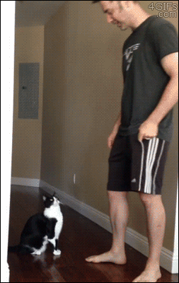 27105129_1618804521.1078.gif