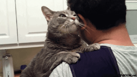27105129_1618804551.6103.gif