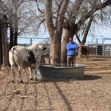 991305226_1624010357.2364.gif