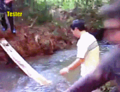 3076986471_1652761979.925.gif