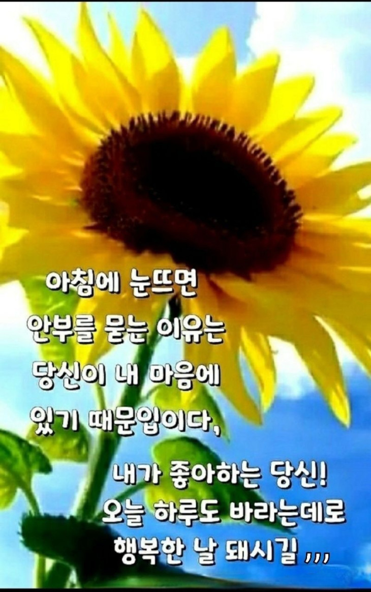 31208546_1755822075.0208.jpg